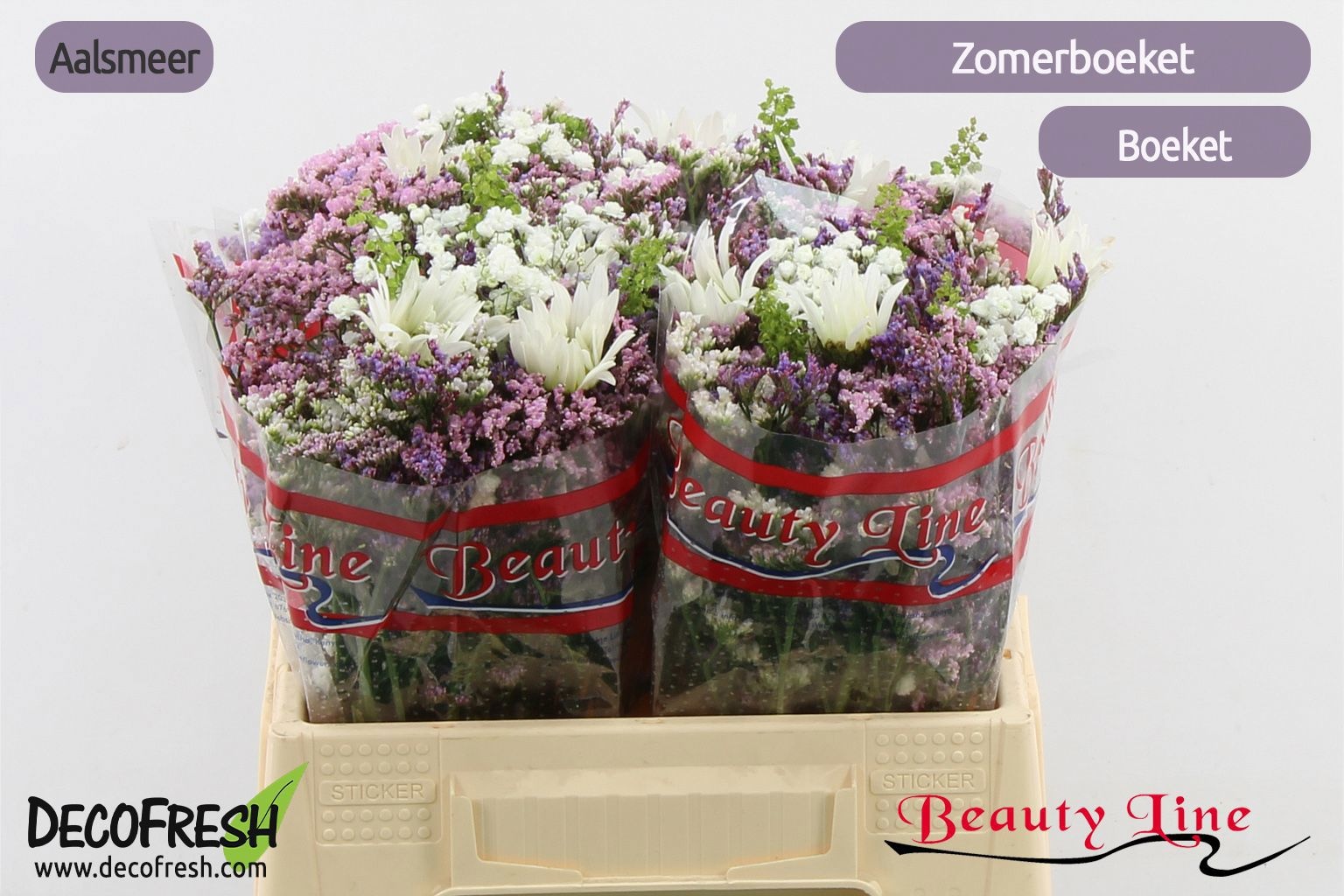 Срезанные цветы оптом Bouquet summer bouquet white pink от 4шт из Голландии с доставкой по России