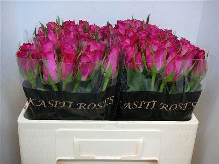 Срезанные цветы оптом Rosa large candidate! от 560шт из Голландии с доставкой по России