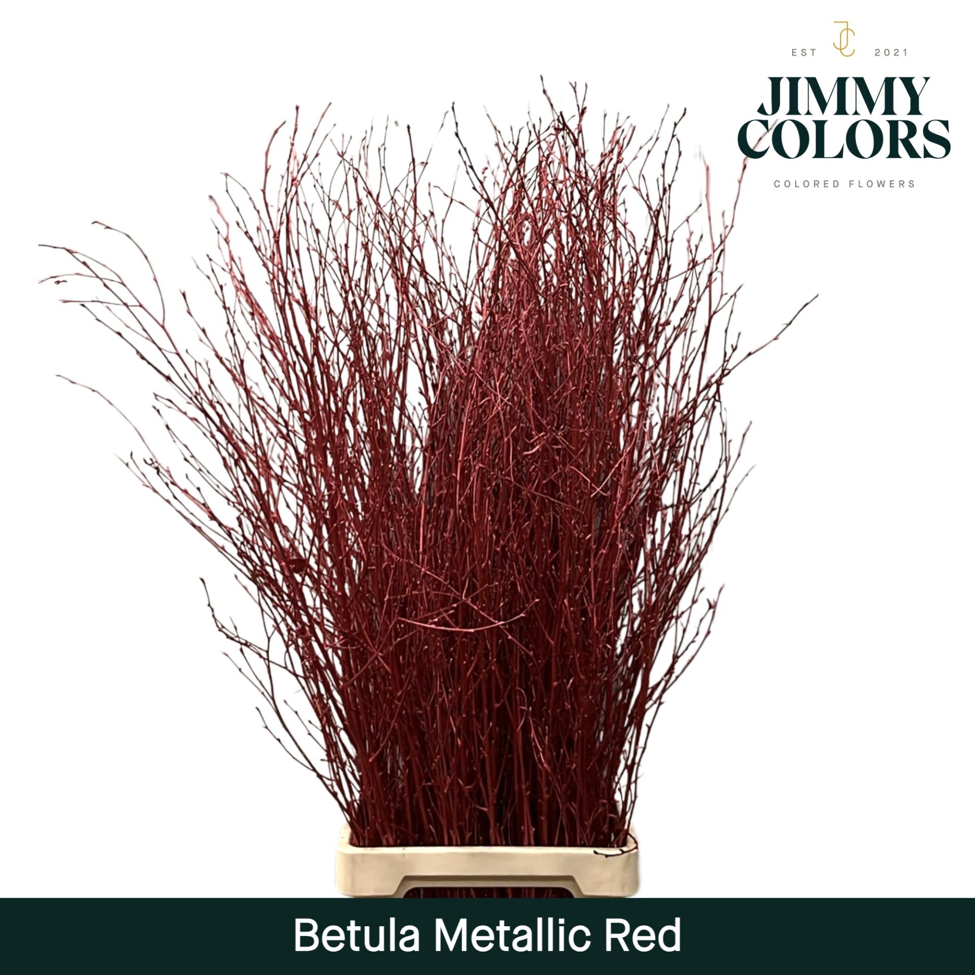 Срезанные цветы оптом Betula paint metallic red от 10шт из Голландии с доставкой по России