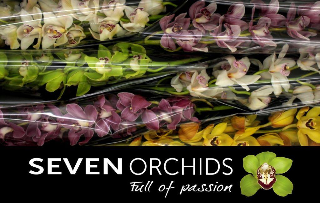 Срезанные цветы оптом Cymbidium mix от 6шт... из Голландии с доставкой по России