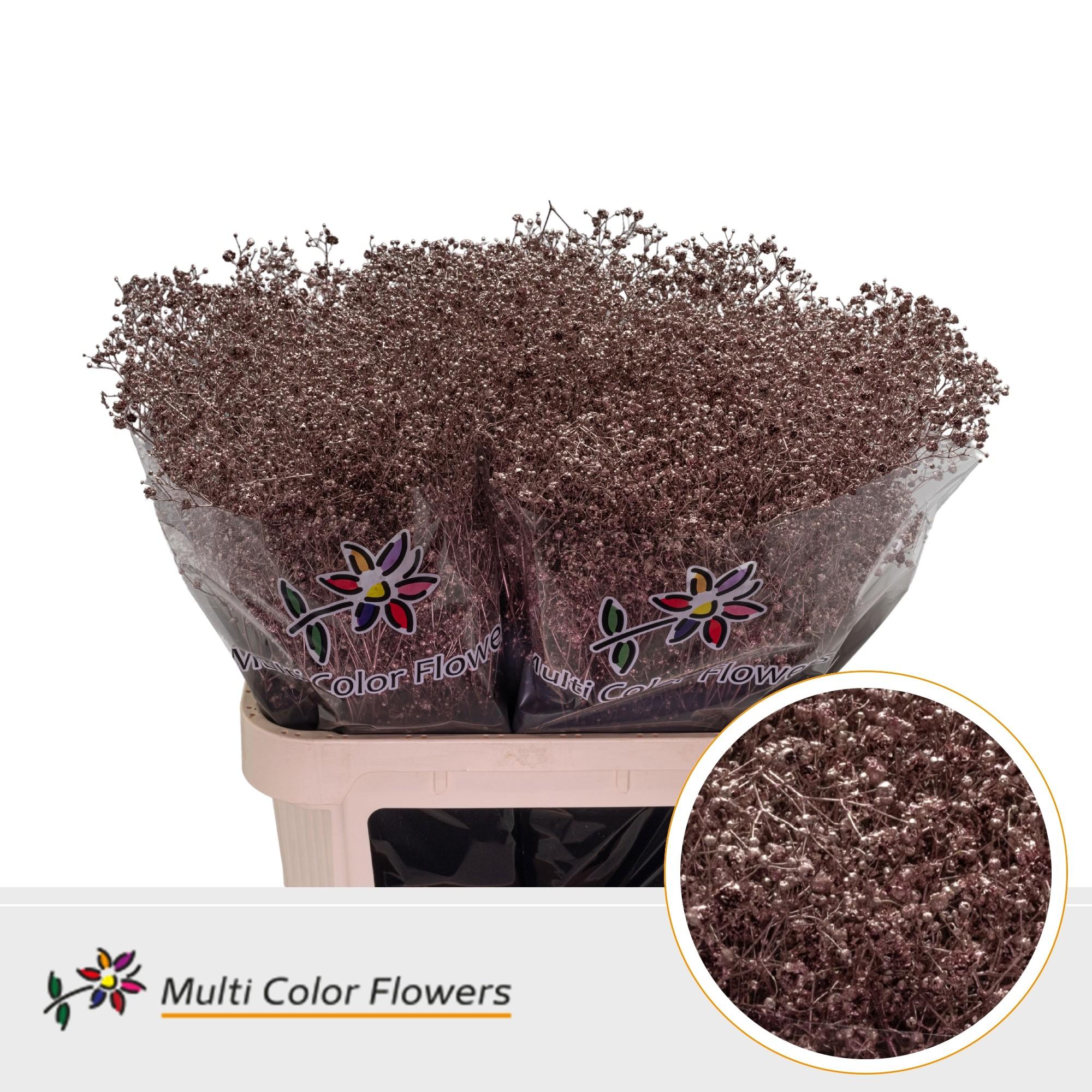 Срезанные цветы оптом Gyps large paint rose gold от 50шт из Голландии с доставкой по России