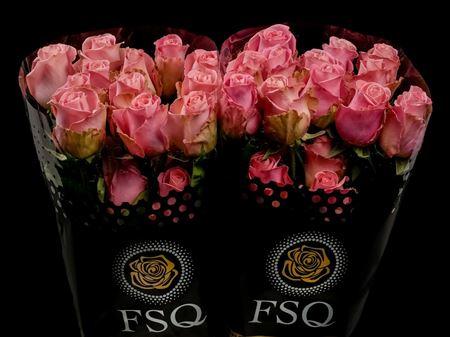Срезанные цветы оптом Rosa ec hermosa A от 40шт из Голландии с доставкой по России