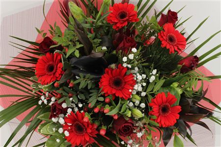 Срезанные цветы оптом Bouquet rosa big red от 1шт из Голландии с доставкой по России