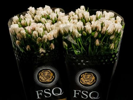 Срезанные цветы оптом Rosa spray garden white majolica от 40шт из Голландии с доставкой по России