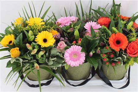 Срезанные цветы оптом Bouquet romy mix tray от 4шт из Голландии с доставкой по России