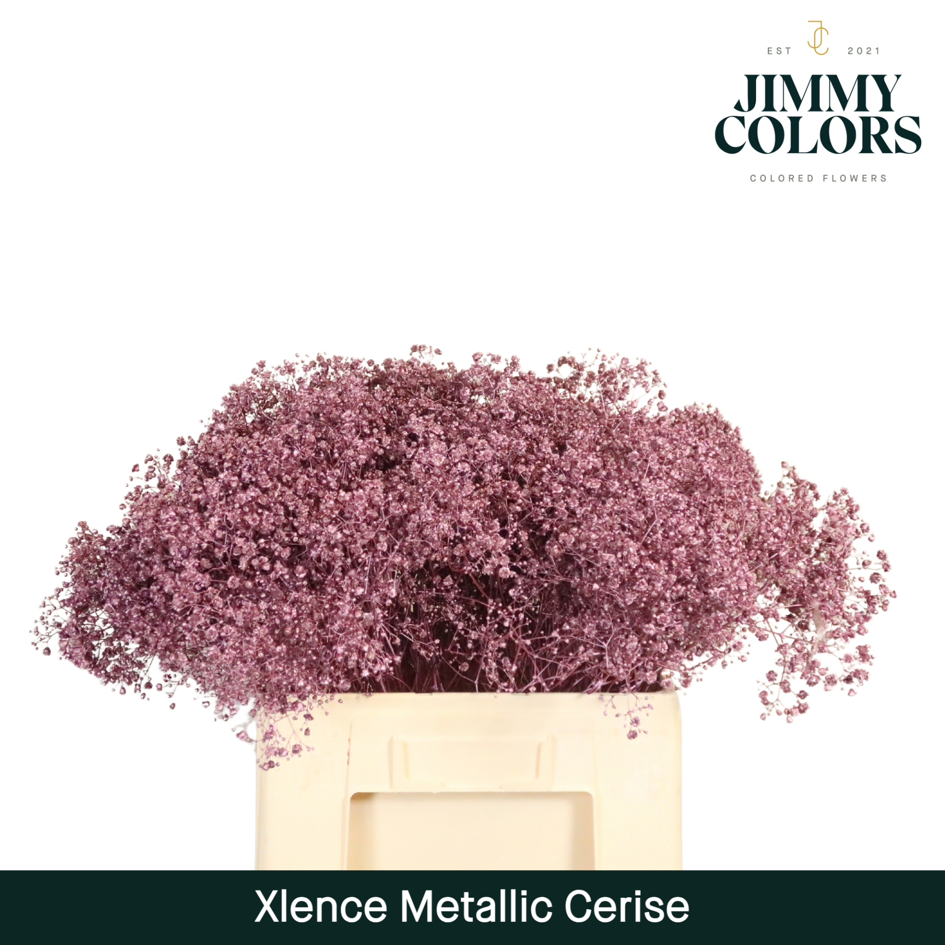Срезанные цветы оптом Gyps large paint metallic cerise от 25шт из Голландии с доставкой по России