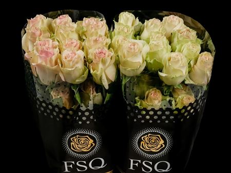 Срезанные цветы оптом Rosa ec marzipan от 40шт из Голландии с доставкой по России