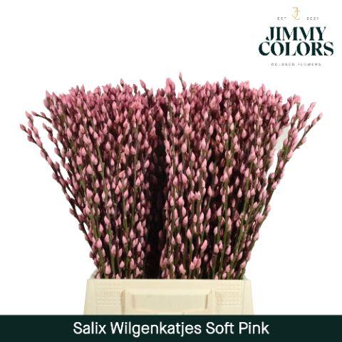 Срезанные цветы оптом Salix paint pussy willow pink light от 300шт из Голландии с доставкой по России