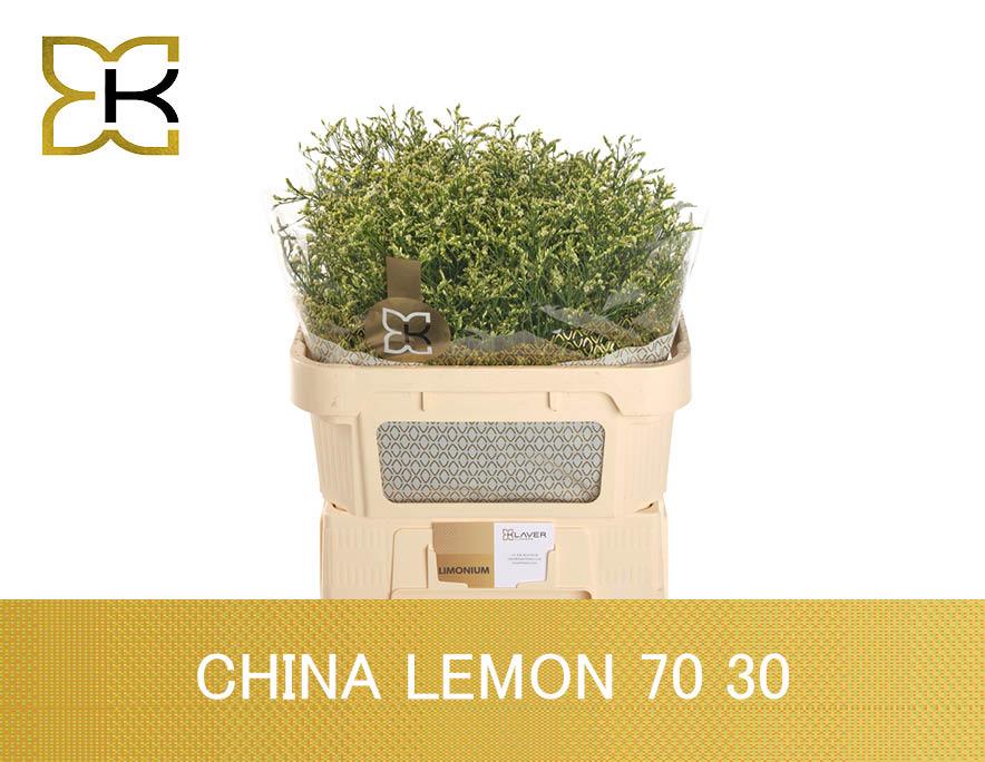 Срезанные цветы оптом Limonium china lemon от 50шт. из Голландии с доставкой по России