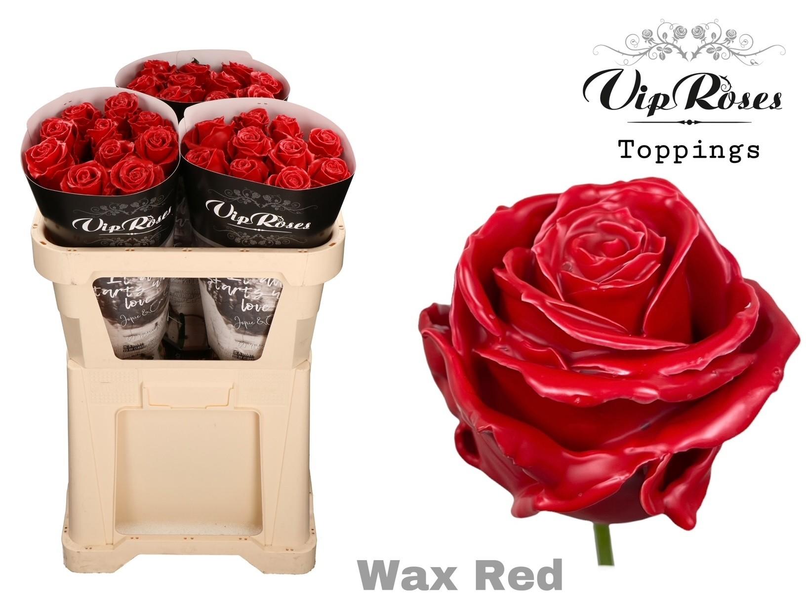 Срезанные цветы оптом Rosa large wax red от 30шт из Голландии с доставкой по России