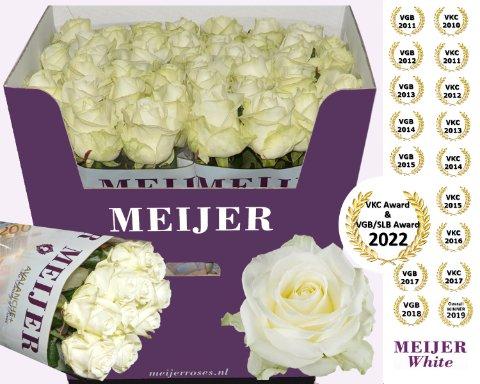 Срезанные цветы оптом Rosa large avalanche+ Meijer White от 40шт из Голландии с доставкой по России
