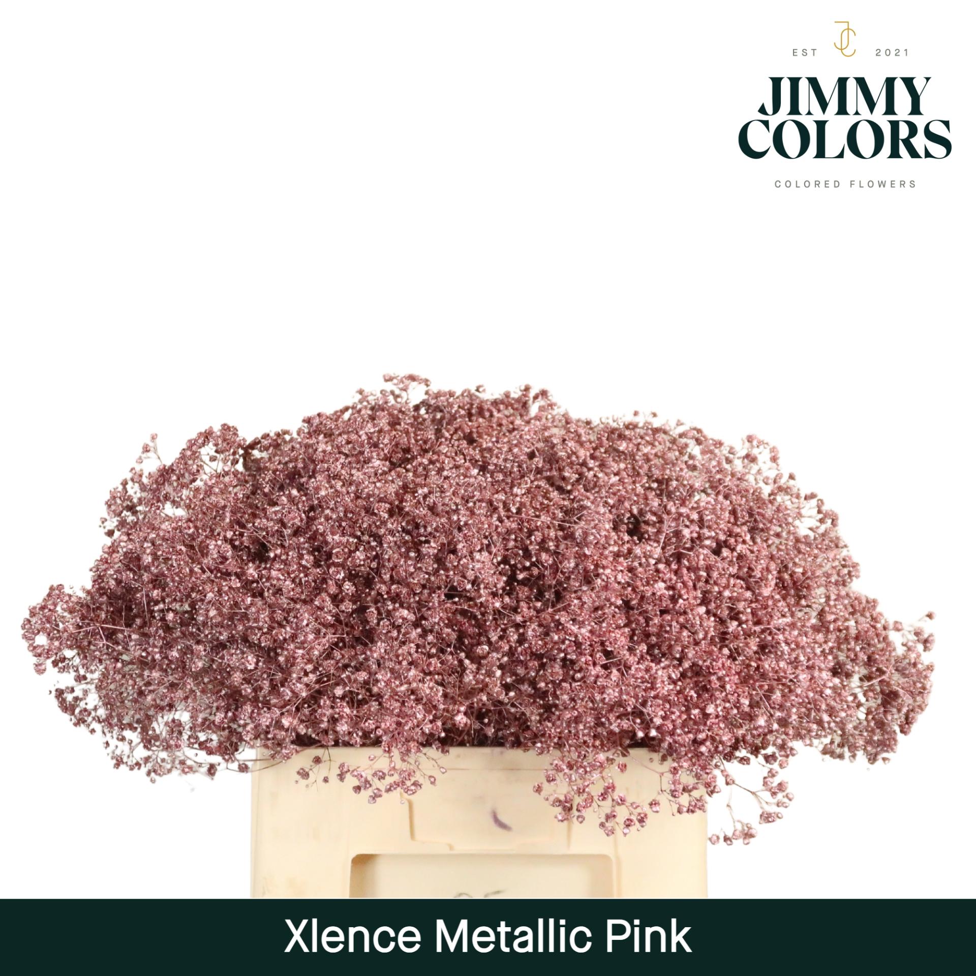 Срезанные цветы оптом Gyps large paint metallic pink от 25шт из Голландии с доставкой по России