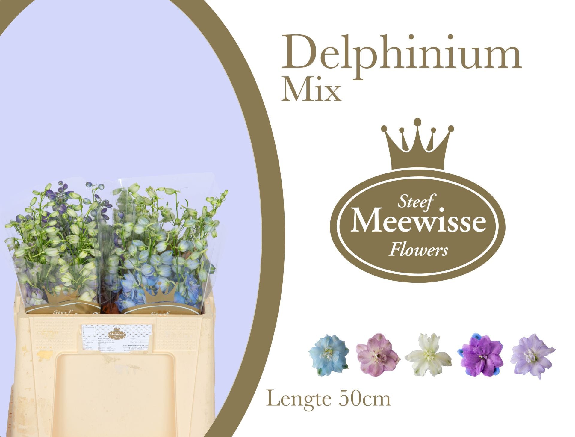 Срезанные цветы оптом Delphinium do mix in bucket от 50шт из Голландии с доставкой по России