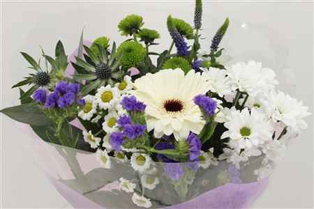 Срезанные цветы оптом Bouquet st blue от 10шт из Голландии с доставкой по России