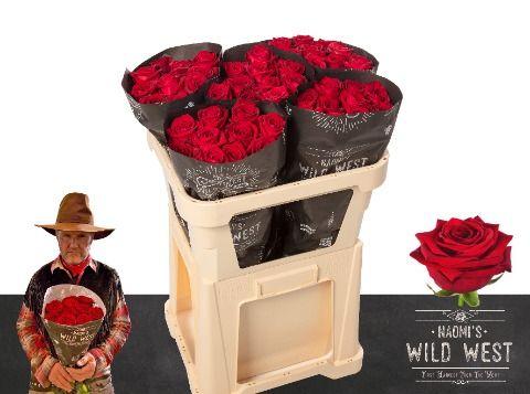 Срезанные цветы оптом Rosa large red naomi! Wild West от 50шт из Голландии с доставкой по России