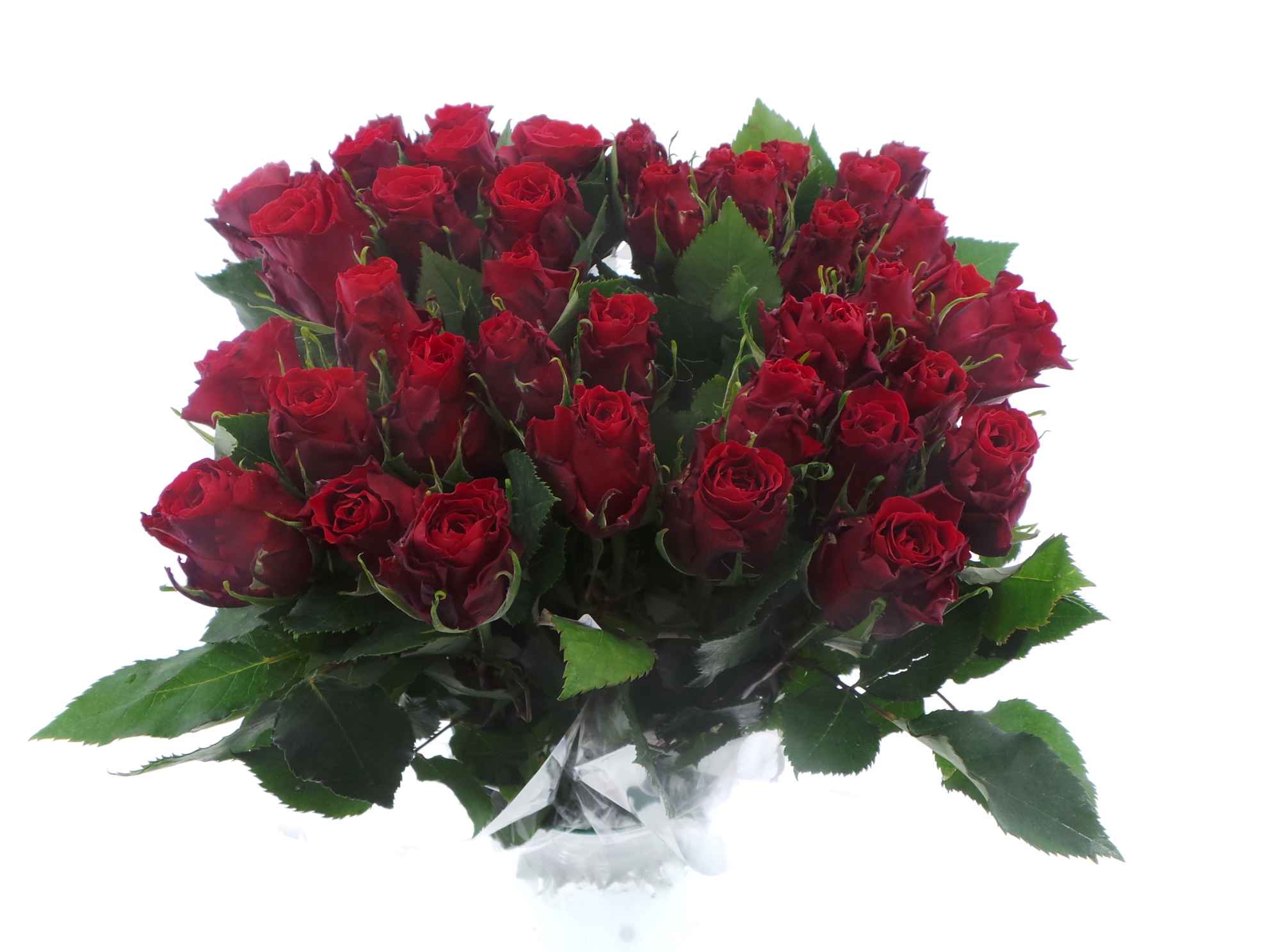 Срезанные цветы оптом Bouquet mono rosa red x10 50cm от 10шт из Голландии с доставкой по России