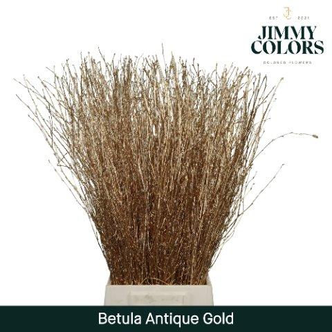 Срезанные цветы оптом Betula paint gold antique от 10шт из Голландии с доставкой по России