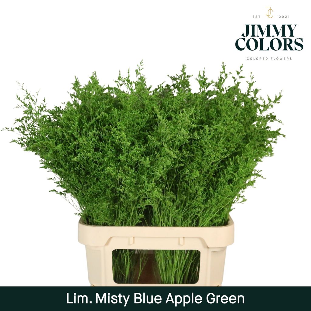 Срезанные цветы оптом Limonium misty blue paint apple green от 50шт из Голландии с доставкой по России