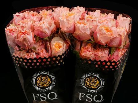 Срезанные цветы оптом Rosa garden campanella peach от 36шт из Голландии с доставкой по России
