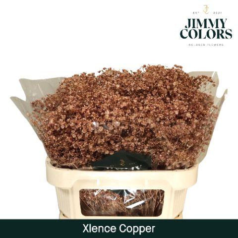 Срезанные цветы оптом Gyps large paint metallic copper от 75шт из Голландии с доставкой по России