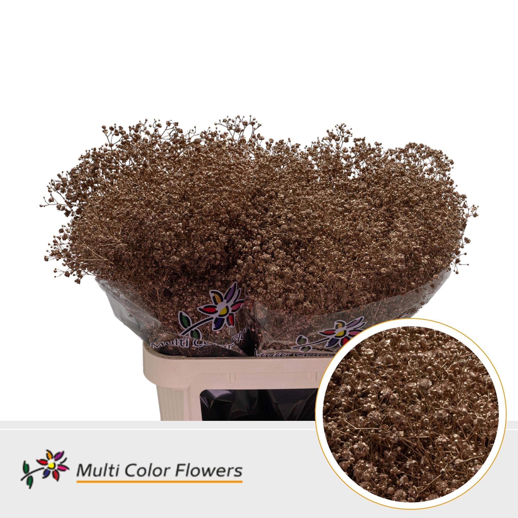 Срезанные цветы оптом Gyps xlence paint antique от 50шт из Голландии с доставкой по России