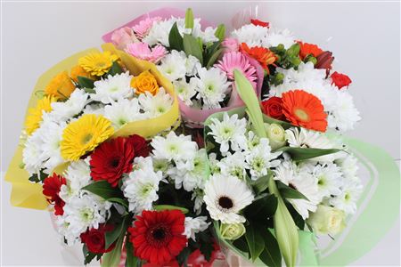 Срезанные цветы оптом Bouquet 3 rosa 3 germini mix от 5шт из Голландии с доставкой по России