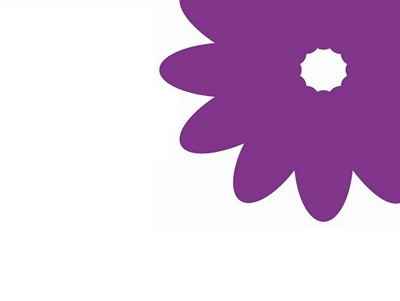 Срезанные цветы оптом Gyps large paint purple от 25шт из Голландии с доставкой по России