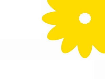 Срезанные цветы оптом Gerbera diamond yellow от 45шт из Голландии с доставкой по России