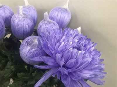 Срезанные цветы оптом Chrys bl paint antonov lilac от 40шт из Голландии с доставкой по России