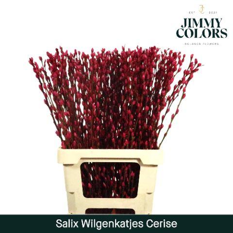 Срезанные цветы оптом Salix paint pussy willow cerise от 50шт из Голландии с доставкой по России