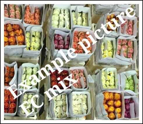 Срезанные цветы оптом Rosa ec mix in box от 250шт из Голландии с доставкой по России