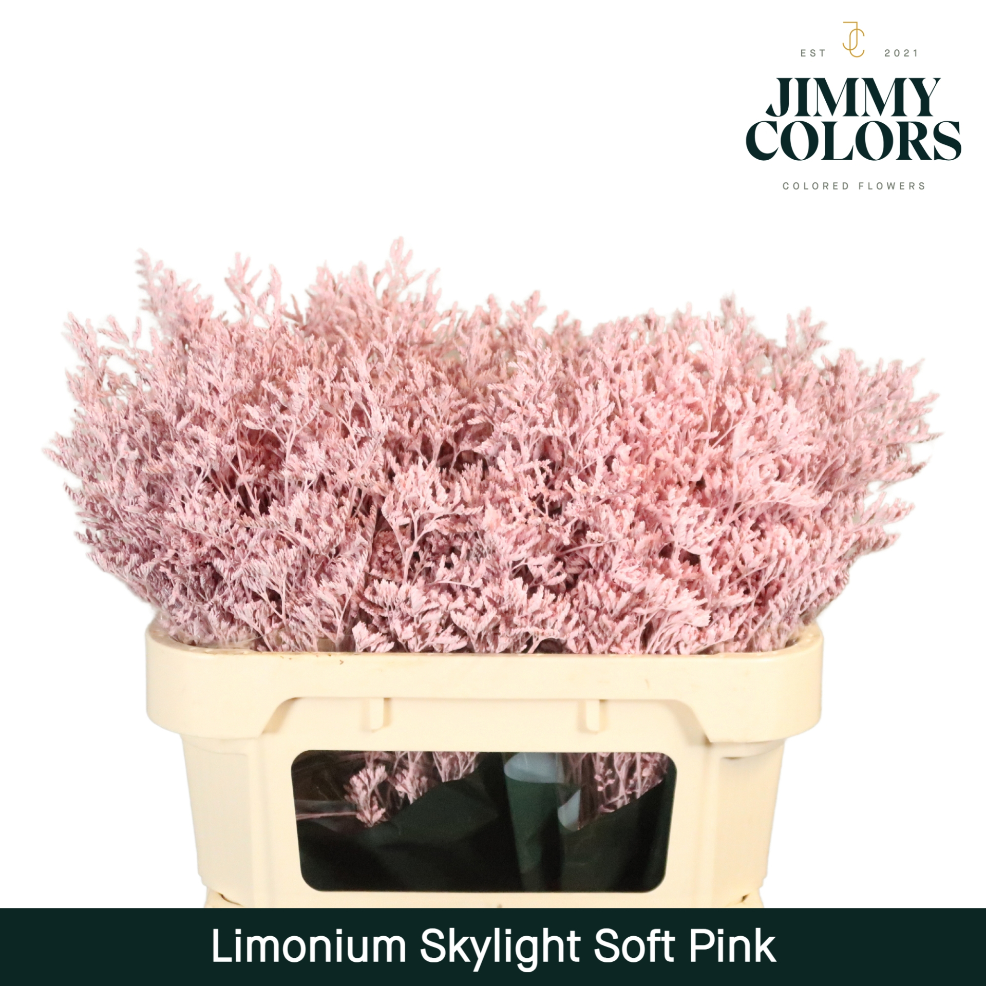 Срезанные цветы оптом Limonium paint pink light от 25шт из Голландии с доставкой по России