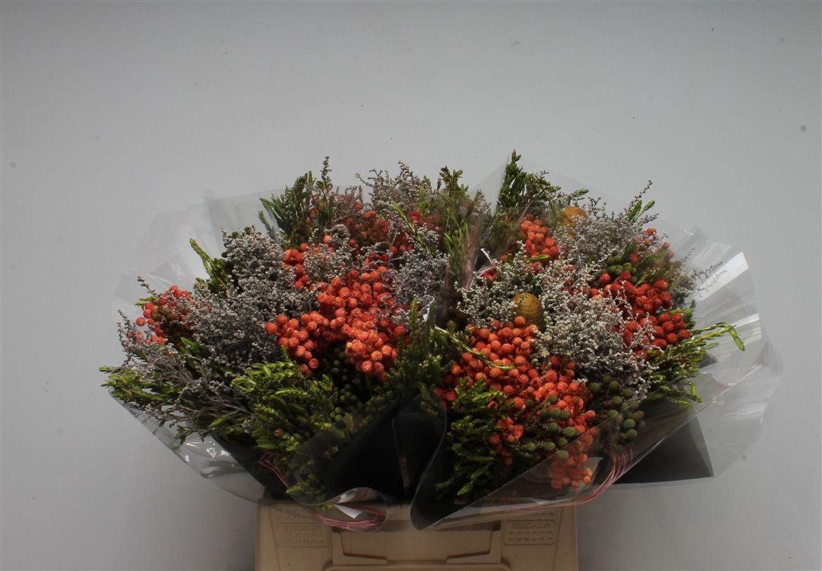 Срезанные цветы оптом Protea bq edel от 4шт из Голландии с доставкой по России