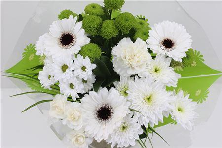 Срезанные цветы оптом Bouquet 9-10 stem white от 10шт из Голландии с доставкой по России
