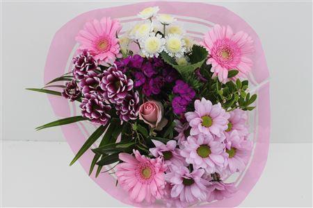 Срезанные цветы оптом Bouquet promo pink от 5шт из Голландии с доставкой по России