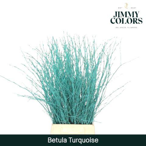 Срезанные цветы оптом Betula paint turqoise от 10шт из Голландии с доставкой по России