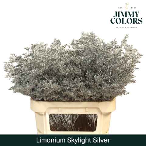 Срезанные цветы оптом Limonium skylight paint silver от 75шт из Голландии с доставкой по России
