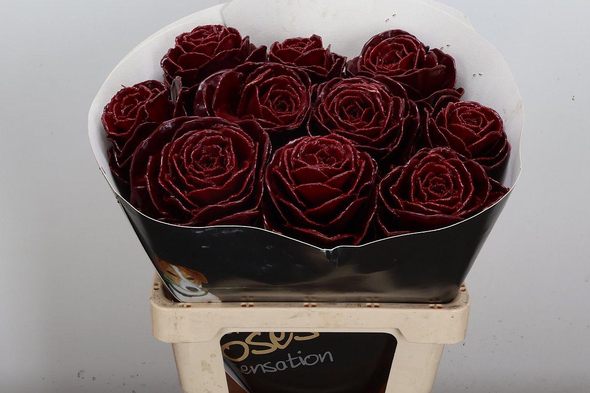 Срезанные цветы оптом Brassica wax bordeaux от 10шт из Голландии с доставкой по России