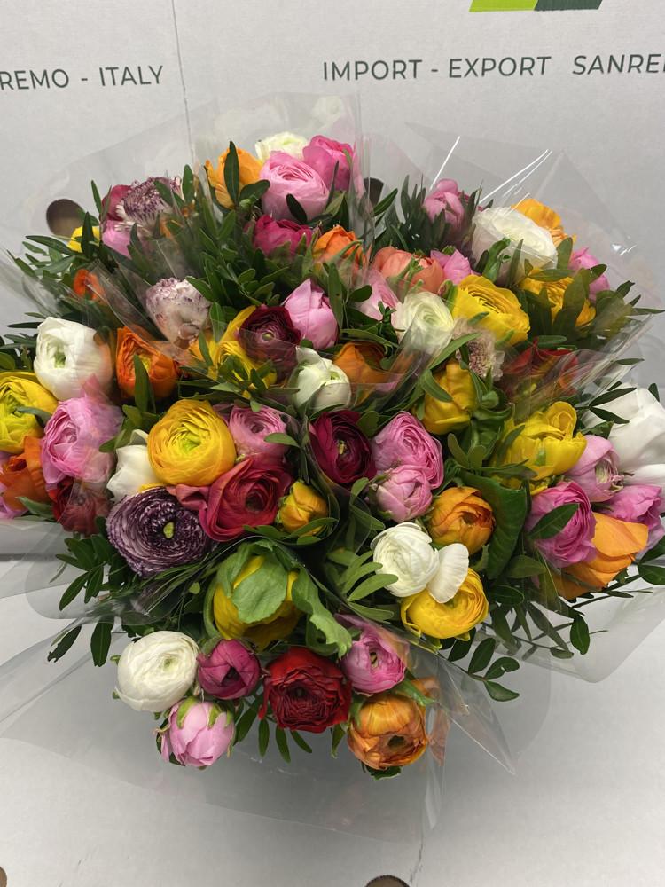 Срезанные цветы оптом Ranunculus boeket + pistache от 10шт из Голландии с доставкой по России