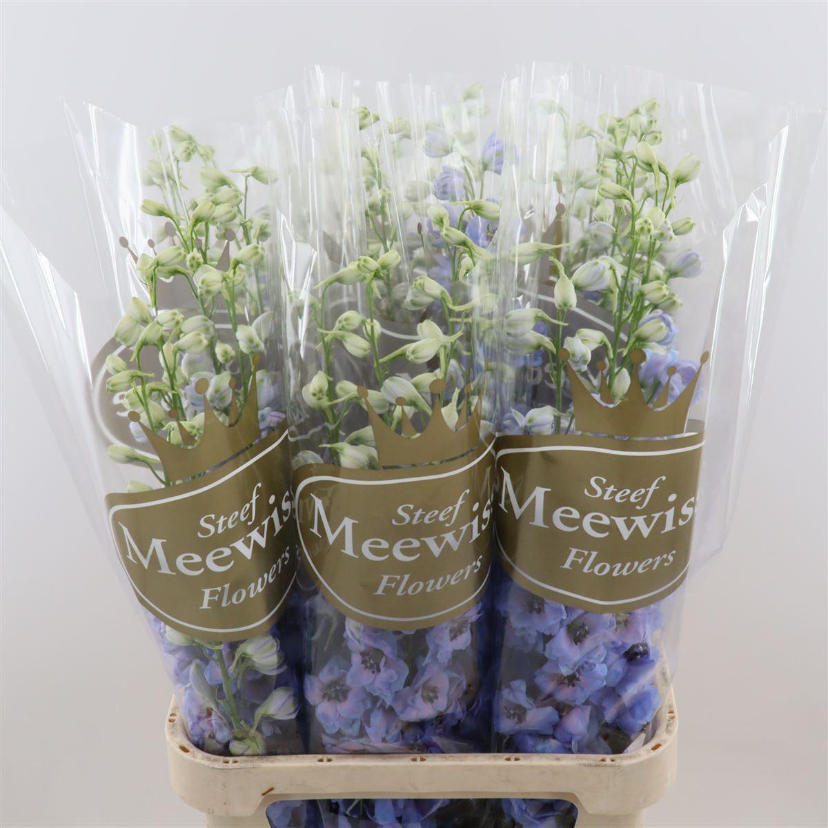 Срезанные цветы оптом Delphinium do dewi azul от 30шт из Голландии с доставкой по России