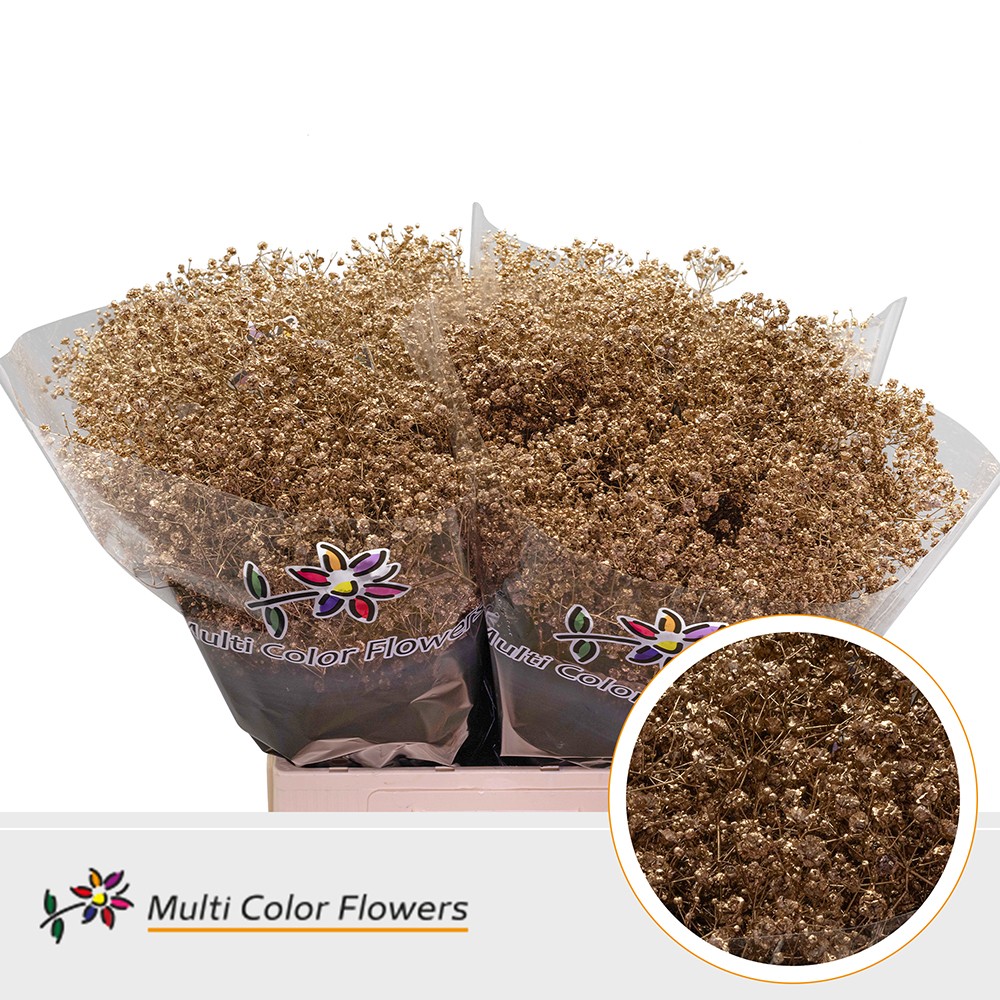 Срезанные цветы оптом Gyps xlence paint antique от 100шт из Голландии с доставкой по России