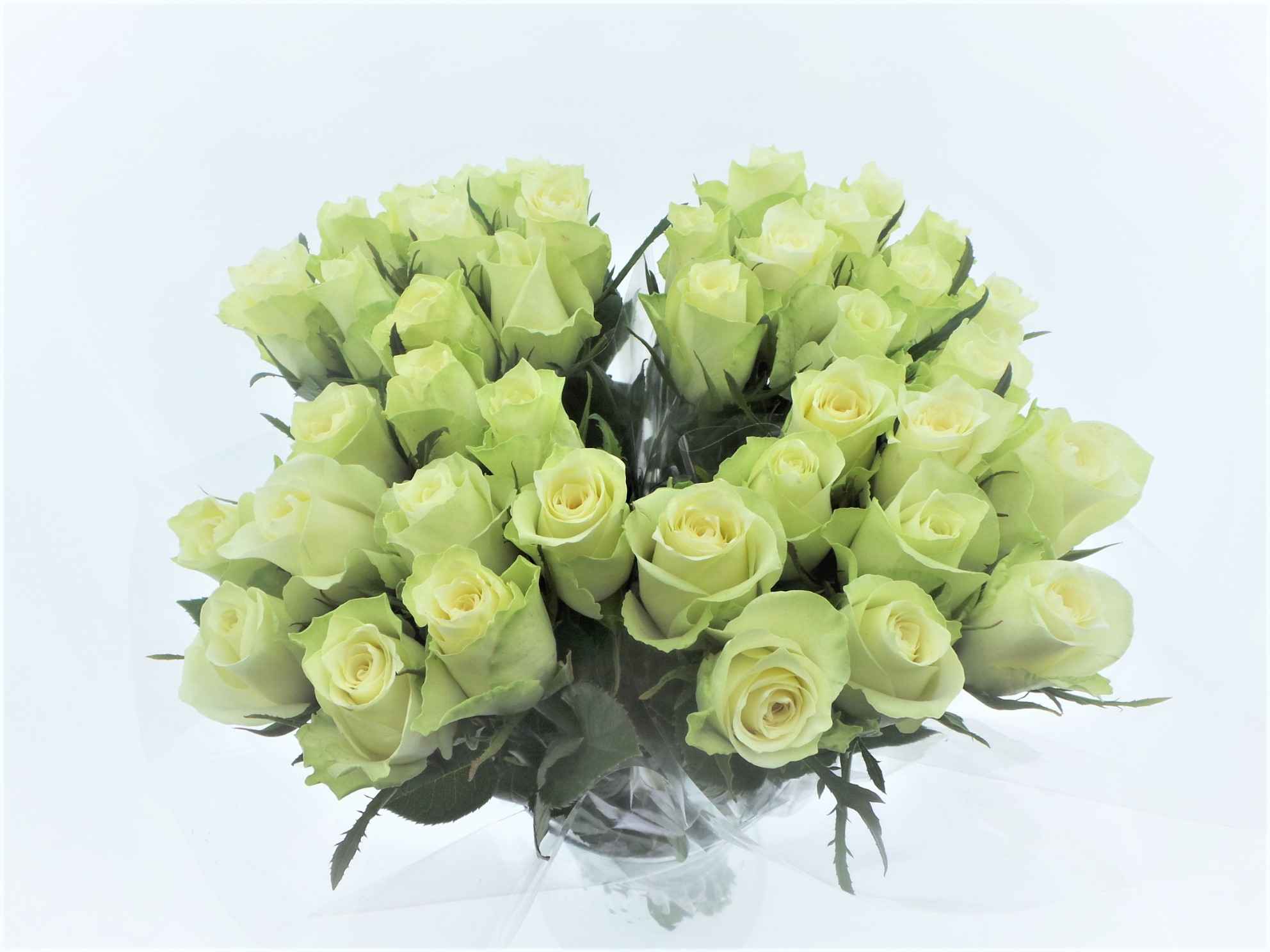 Срезанные цветы оптом Bouquet mono rosa white x10 50cm от 10шт из Голландии с доставкой по России