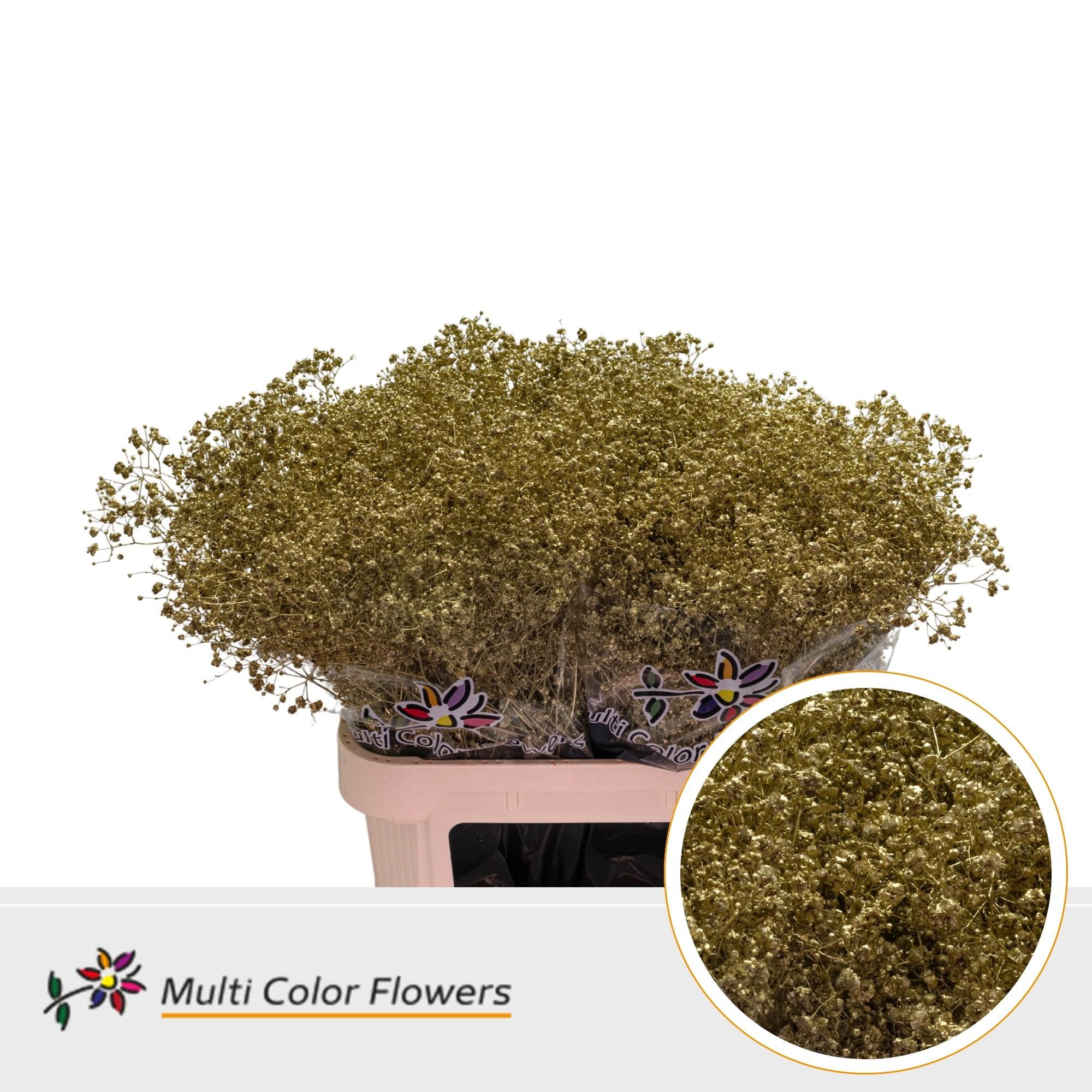 Срезанные цветы оптом Gyps large paint gold от 50шт. из Голландии с доставкой по России