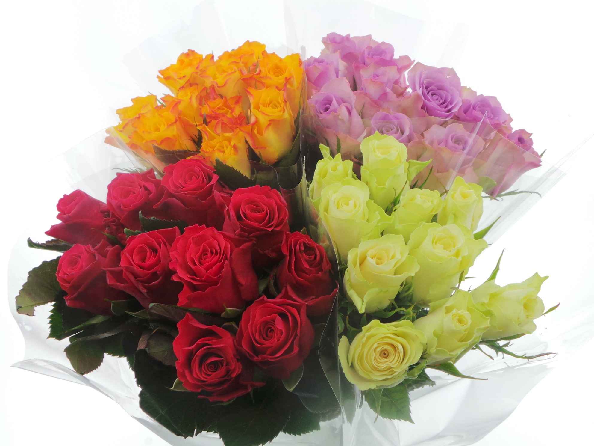 Срезанные цветы оптом Bouquet mono rosa x10 mix 60cm от 10шт из Голландии с доставкой по России