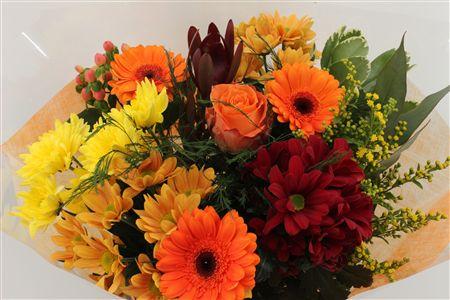 Срезанные цветы оптом Bouquet 15 stem orange от 8шт из Голландии с доставкой по России