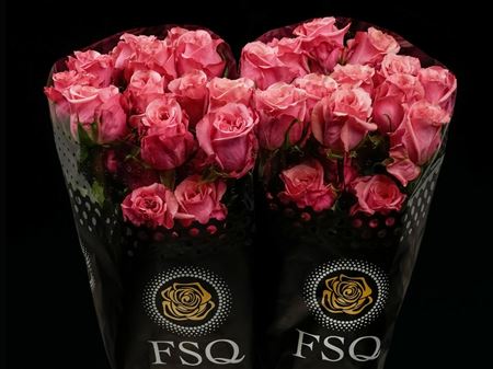 Срезанные цветы оптом Rosa garden art deco от 40шт из Голландии с доставкой по России
