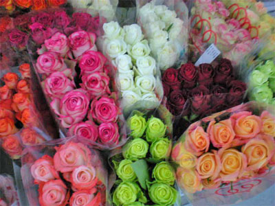 Срезанные цветы оптом Rosa ec mix in box от 300шт из Голландии с доставкой по России
