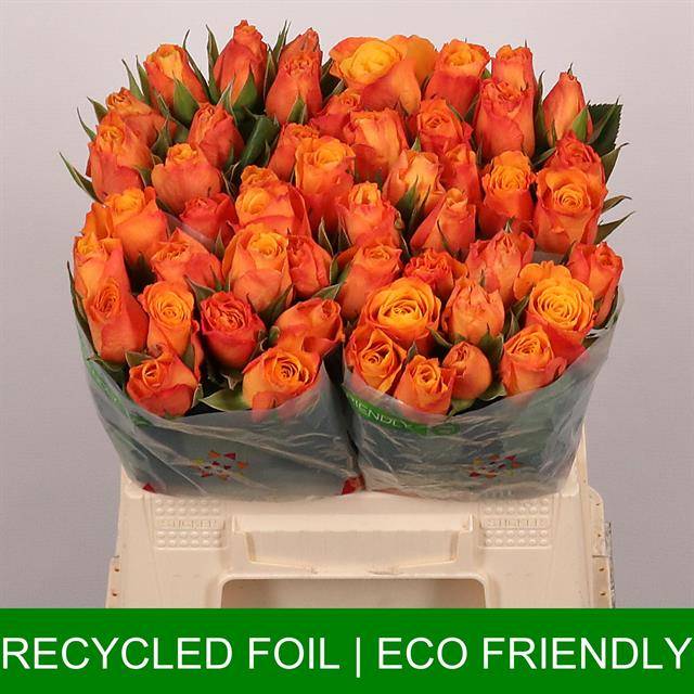 Срезанные цветы оптом Rosa large confidential от 50шт из Голландии с доставкой по России