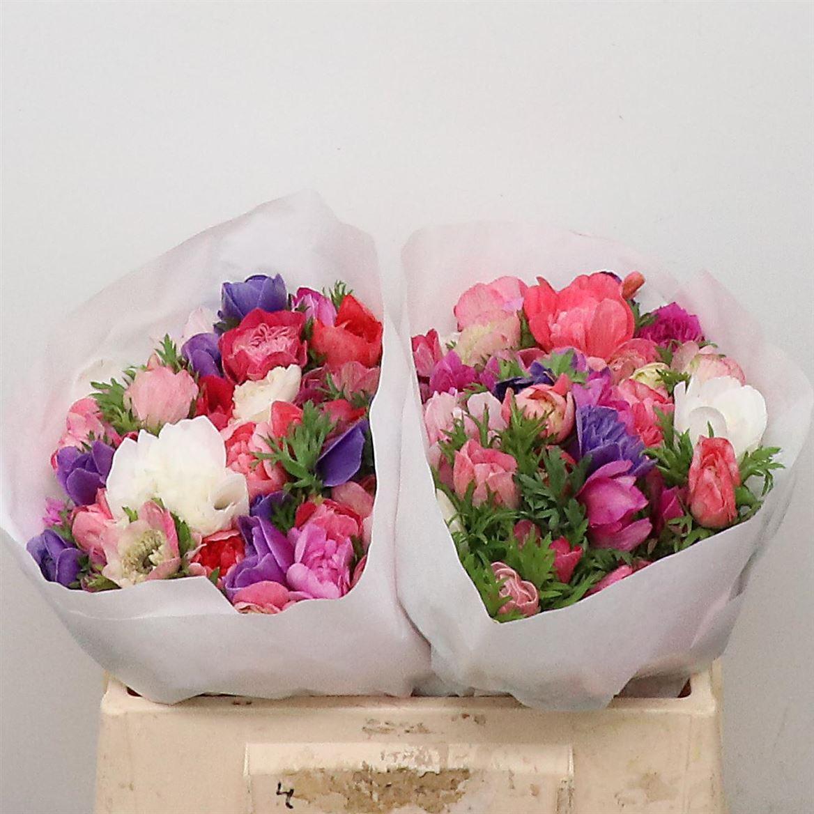 Срезанные цветы оптом Anemone fullstar mix от 100шт из Голландии с доставкой по России