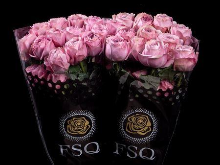Срезанные цветы оптом Rosa garden peonikiss от 50шт из Голландии с доставкой по России